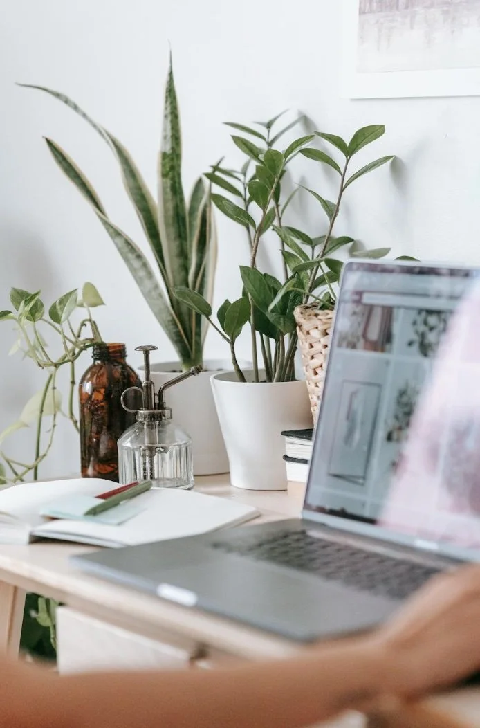 strategic email marketing expert