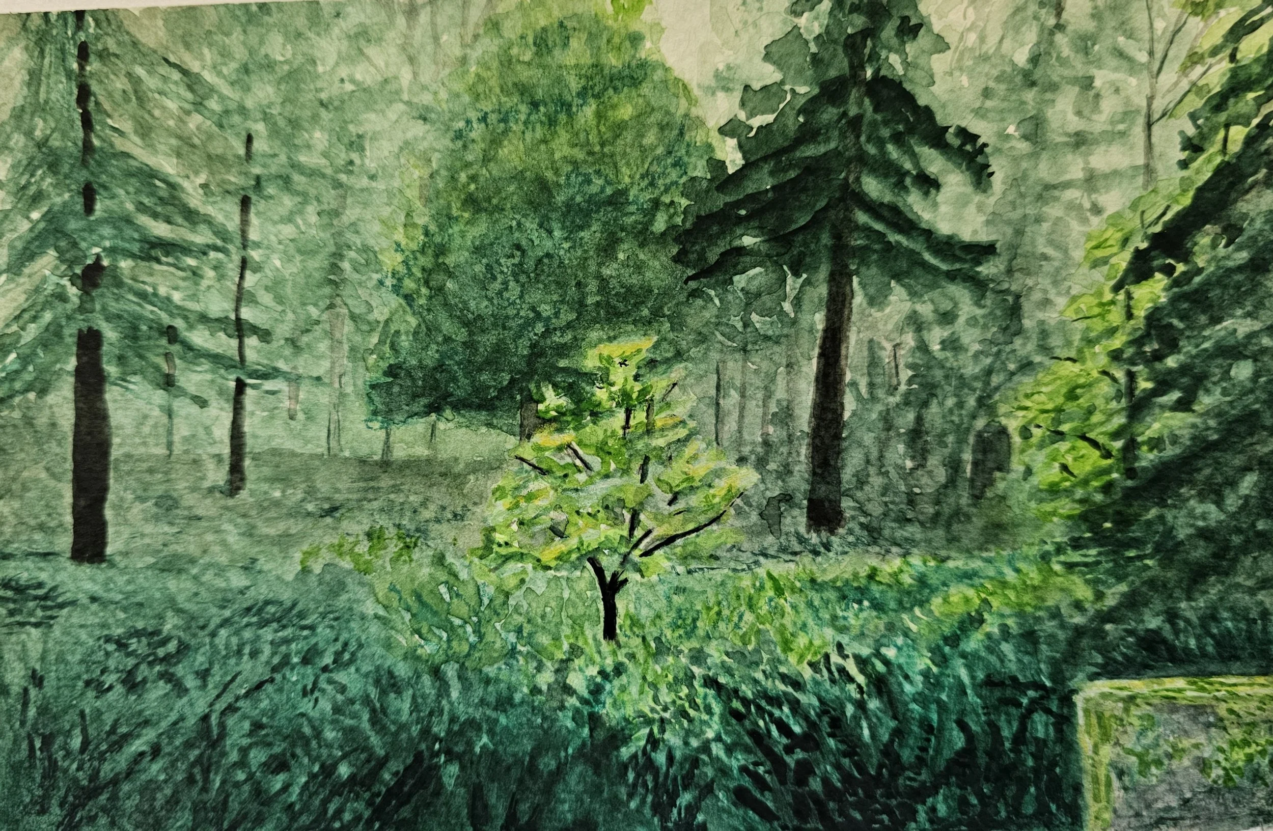 Private Forest Owners National Survey