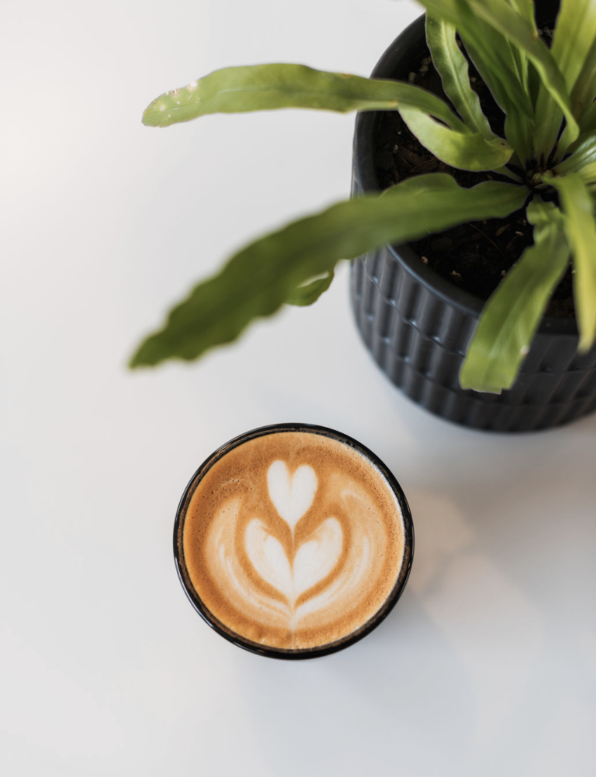 Screenshot 2026-01-28 at 3.03.28 PM.png