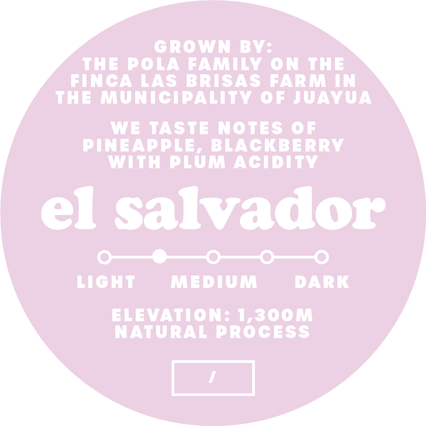 elsalnaturalpurplelabellightmedium.png