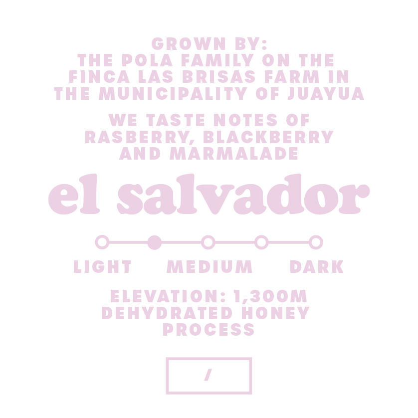 newelsalvadordehydratedhonwhitelabelmediumlight.png