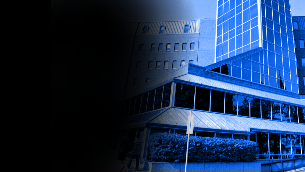 Contact Us — Light House Arts Centre