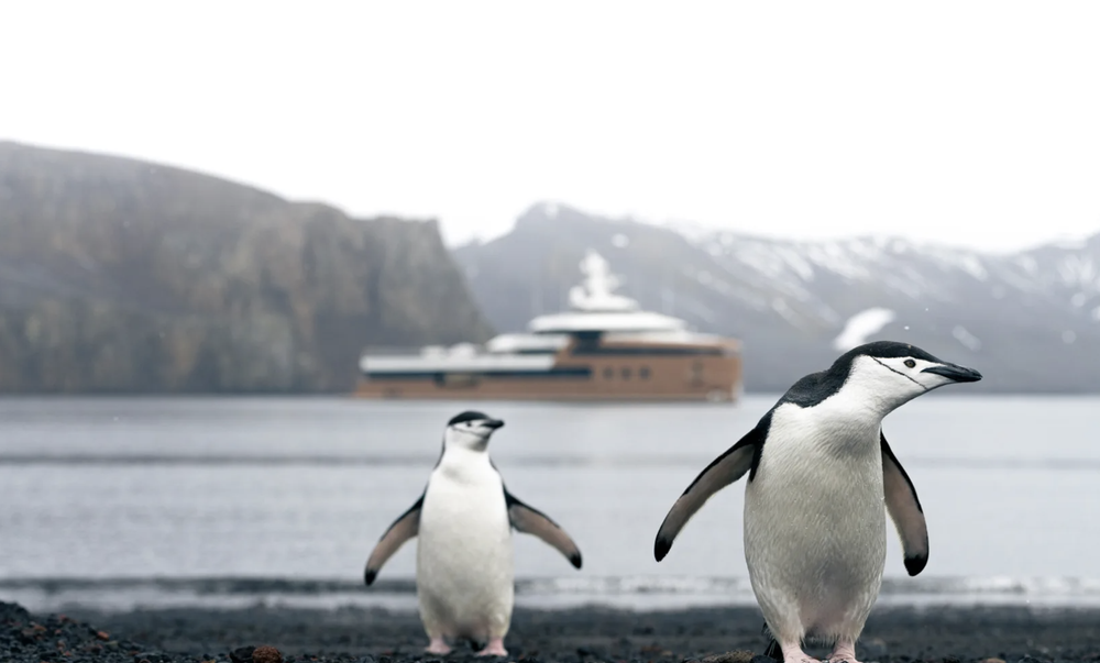 Antarctica Expedition