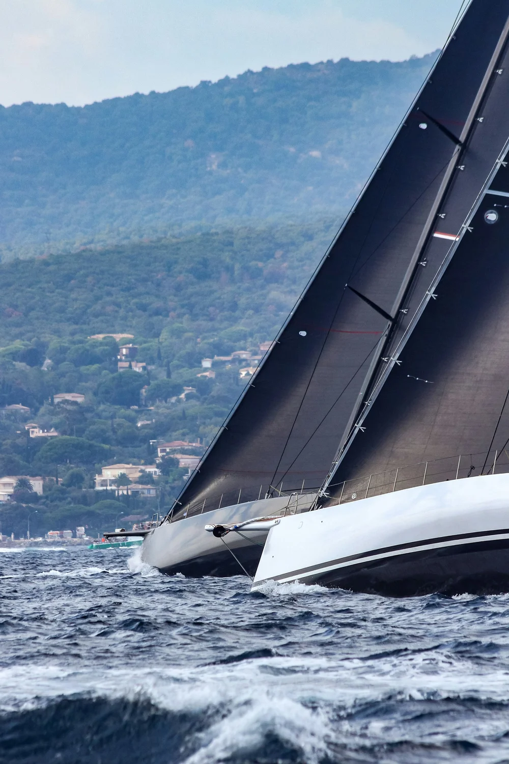 Sailing Aficionados
