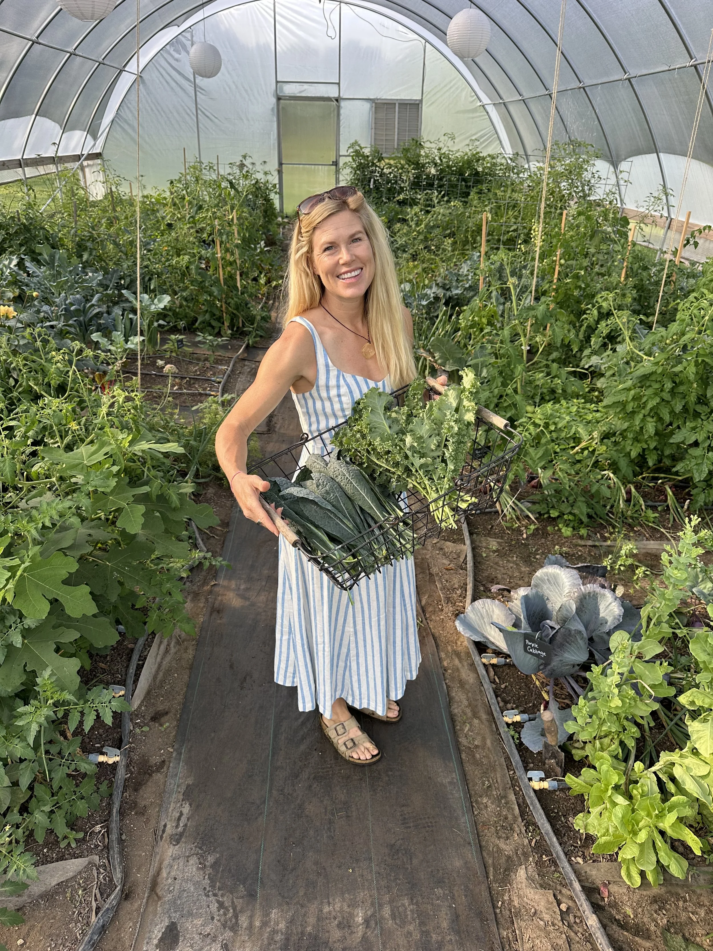 Beginner Gardener Workshop