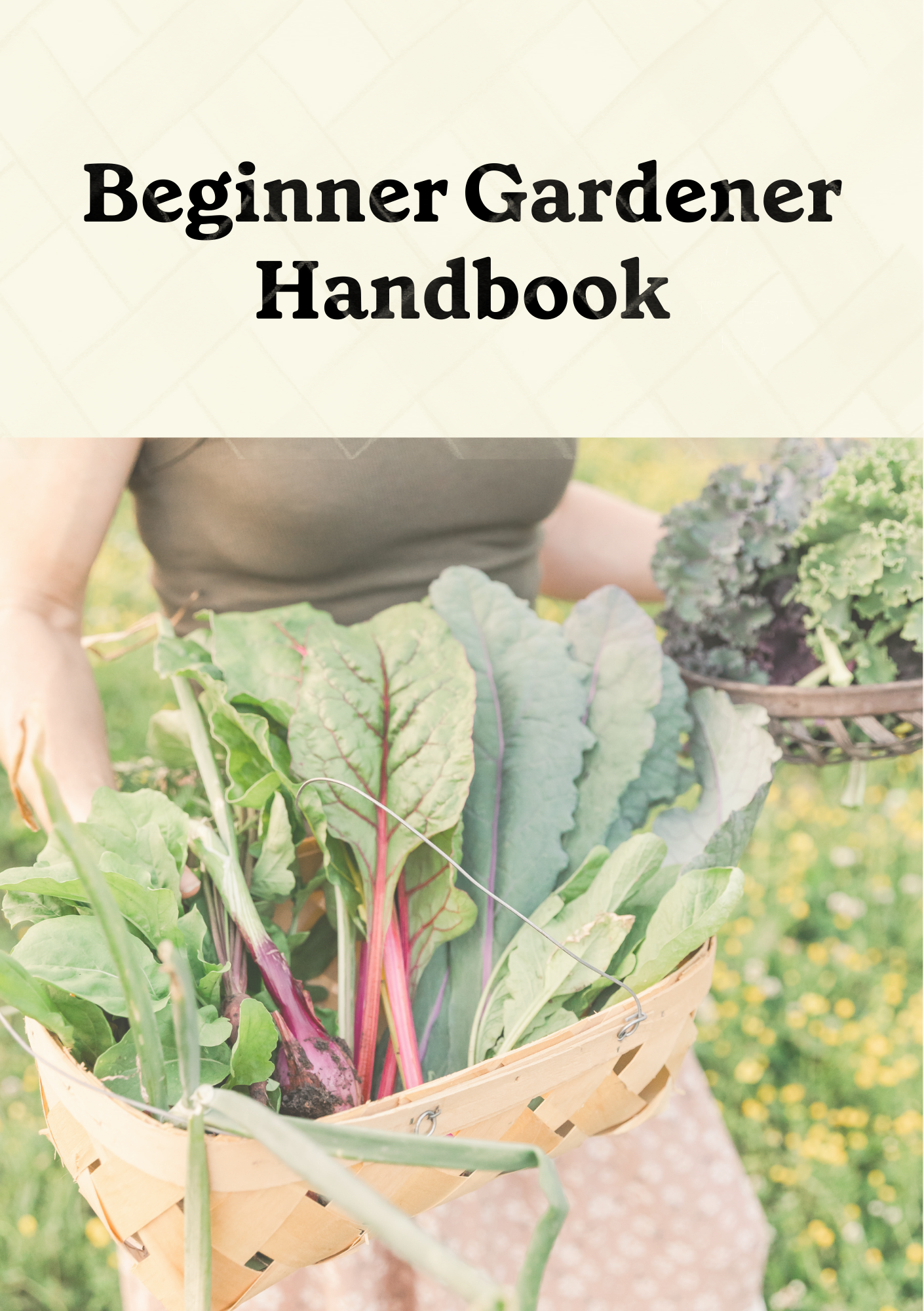 Beginner Gardener Workshop.png