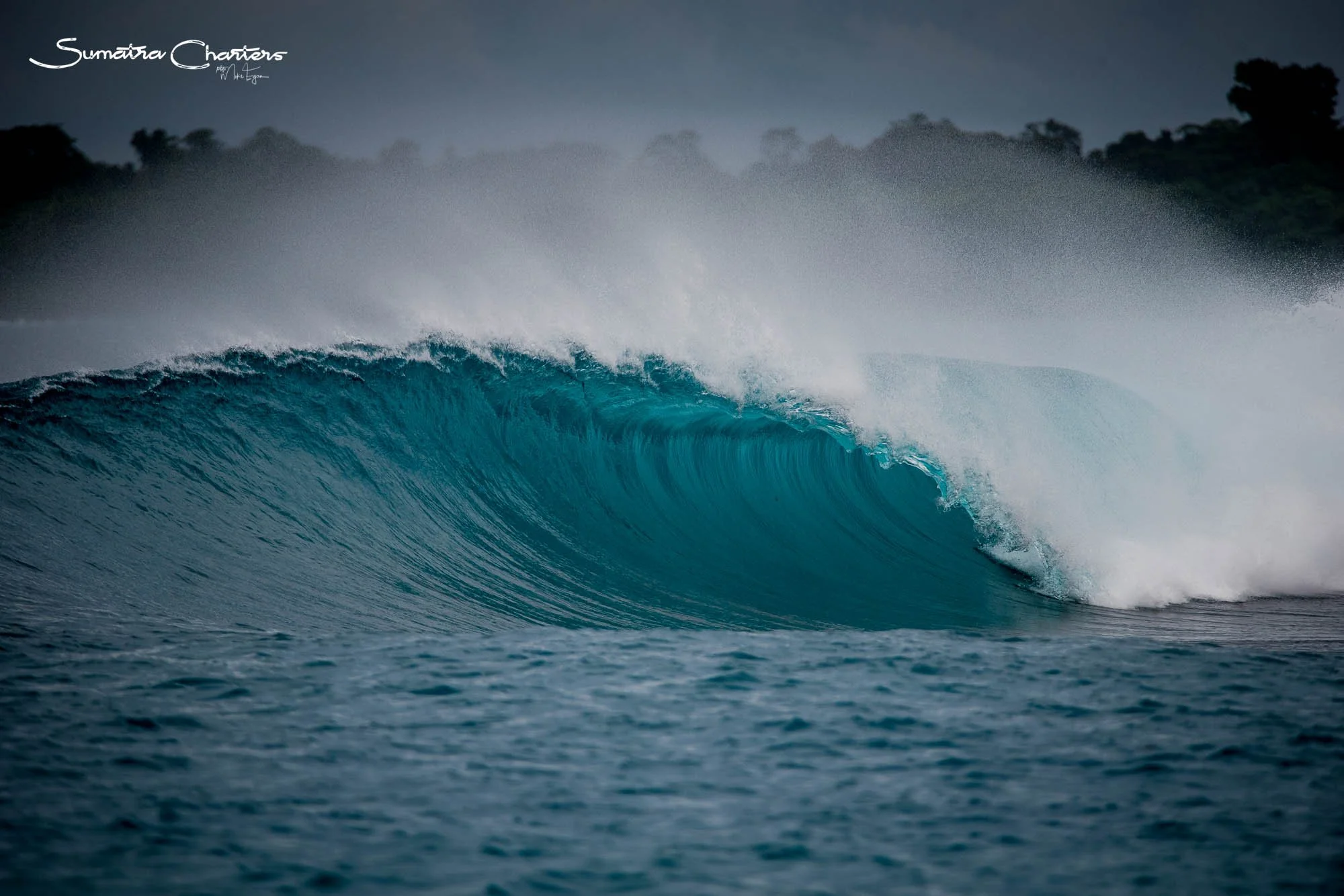Sumatra Charters Trip One Gallery