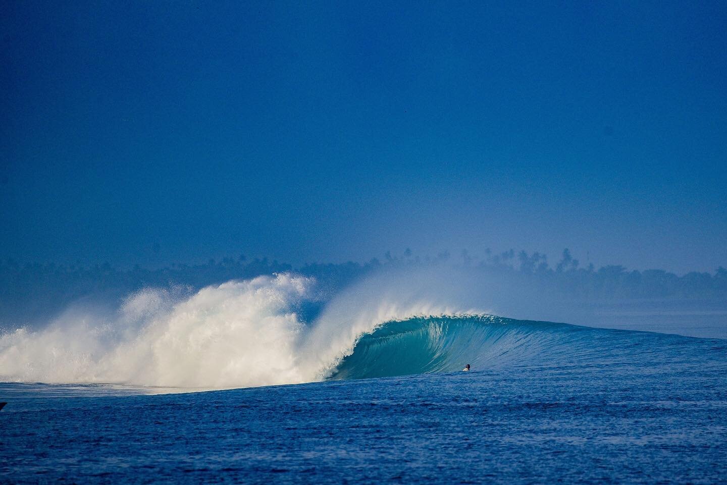 Waking up to Mentawai gold, how good! Check our site to see more shots!
#switchfootmentawai 

Pic @byronwaves