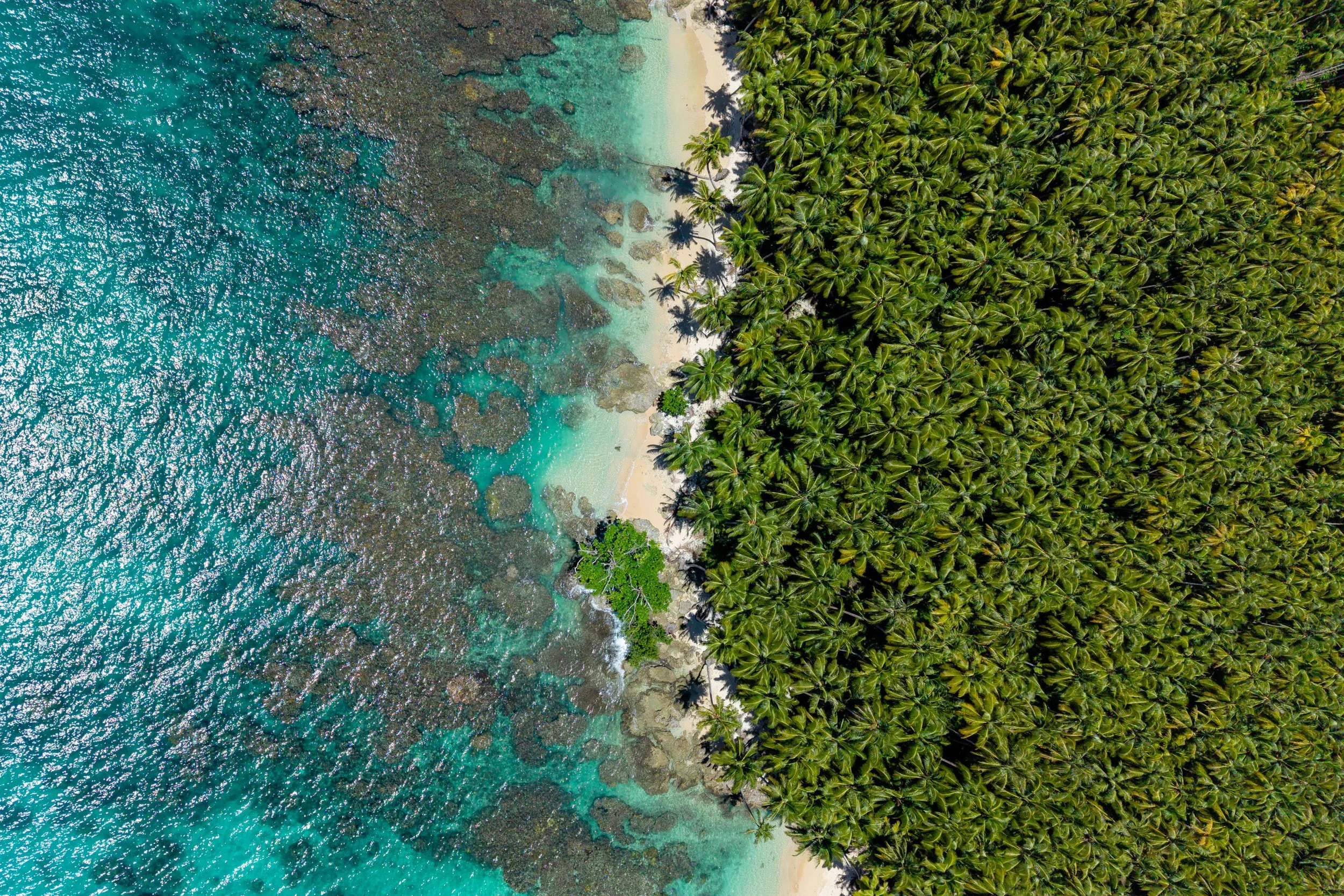 DJI_20260408114600_0037_D.jpg