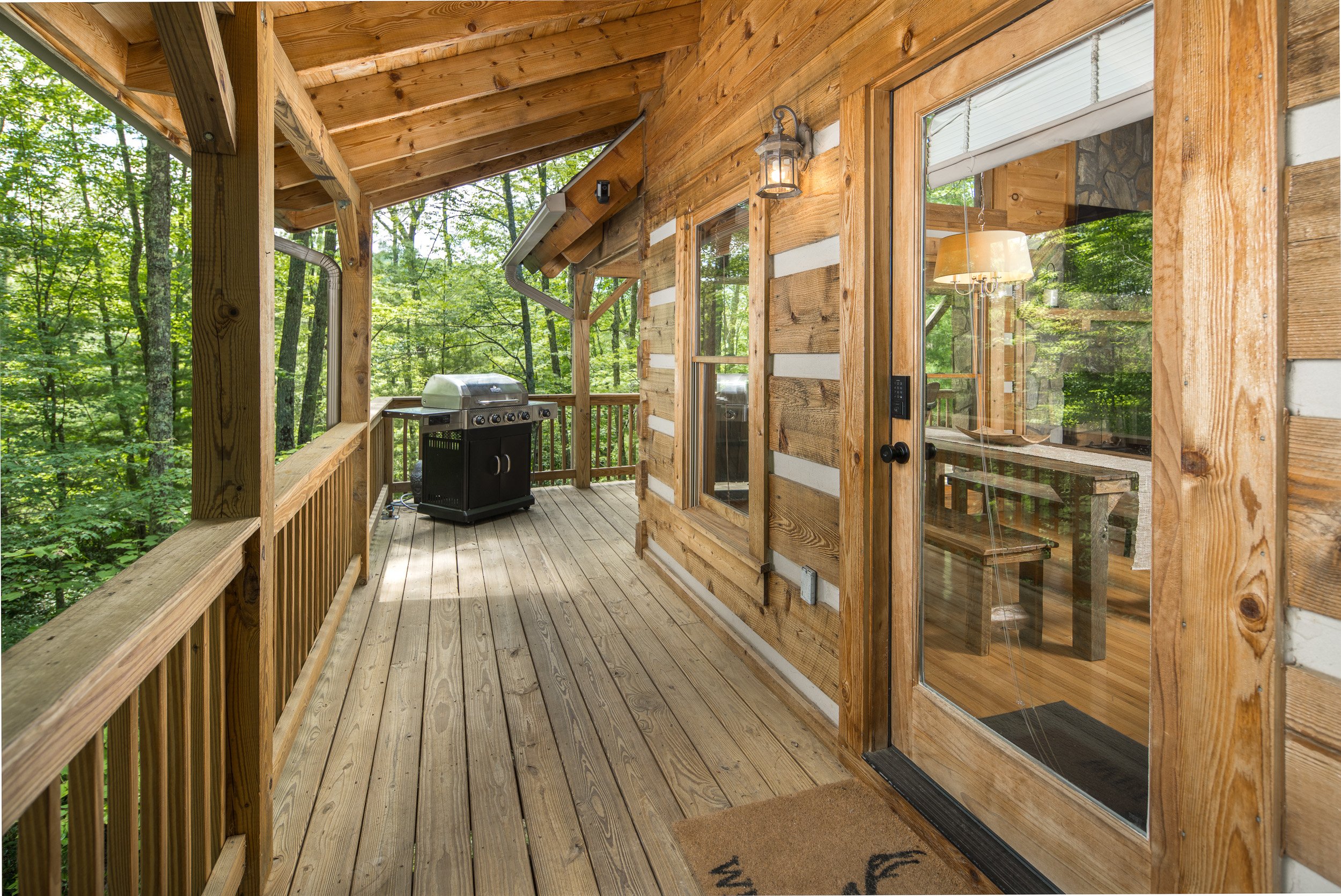 RBV-291 Dream Forest Path-67.jpg