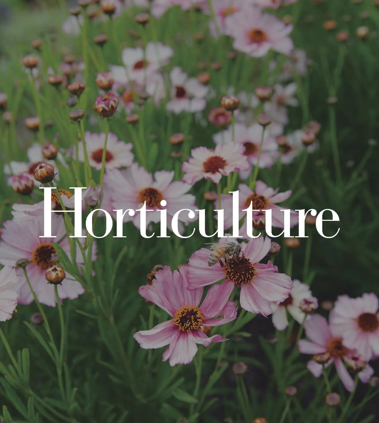 Horticulture Magazine
