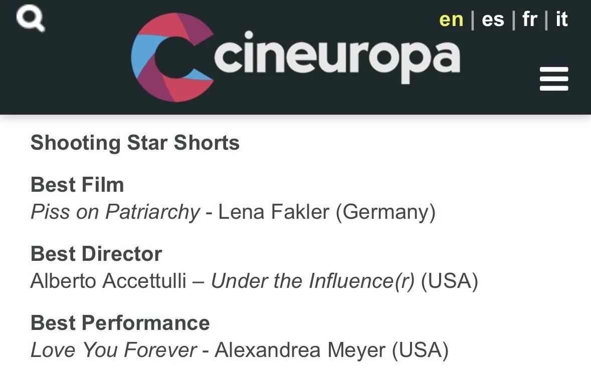 Screenshot of the Cineuropa website featuring awards for a film event, including categories such as best film, best director, and best performance, with film titles and names.