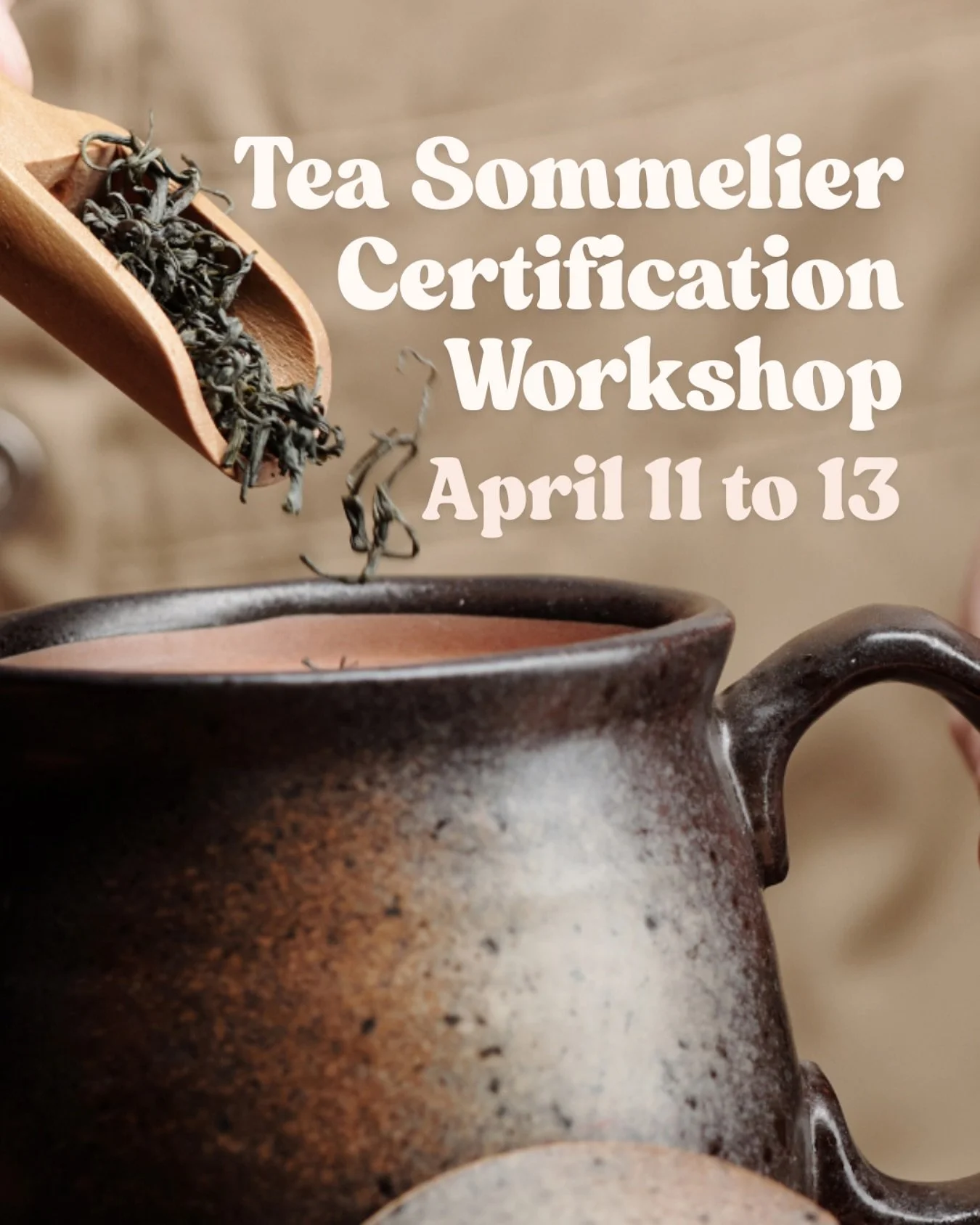 Love tea? 🍵 The tea industry is evolving, and there&rsquo;s no better time to deepen your expertise!

With the rise of the sober-curious movement and premium tea experiences, you can now bring more to your wellness business or food and drink brand. 