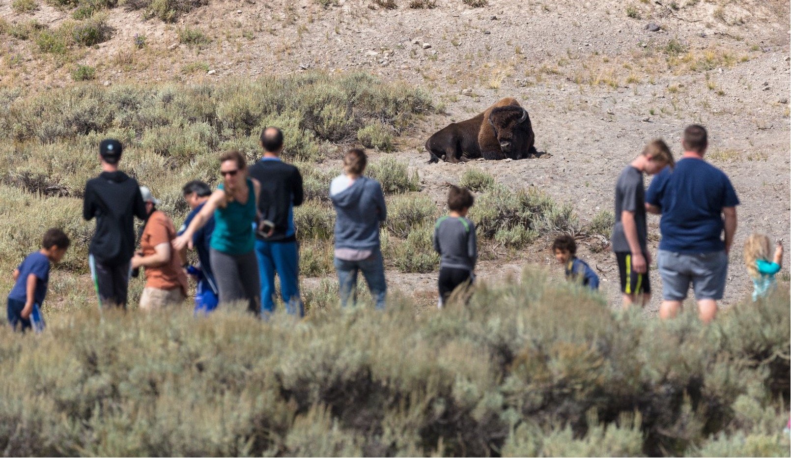 National Park Visitors as a Funding Source for Cross-boundary and Landscape-Scale Wildlife Conservation 