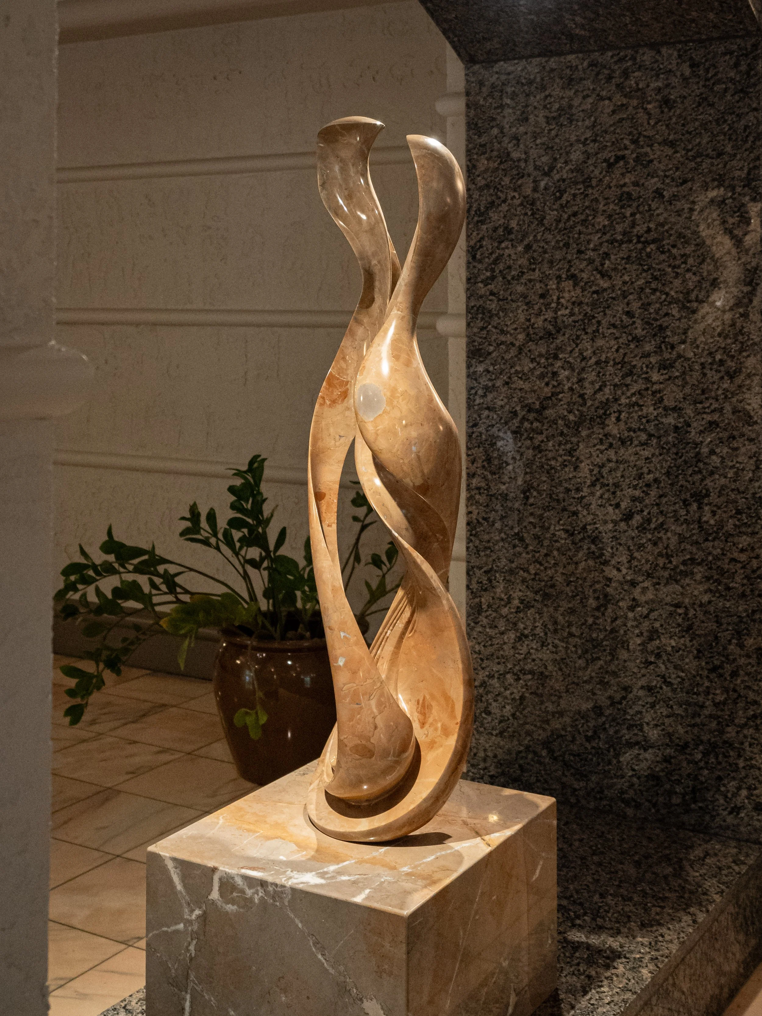 OM102204.jpg