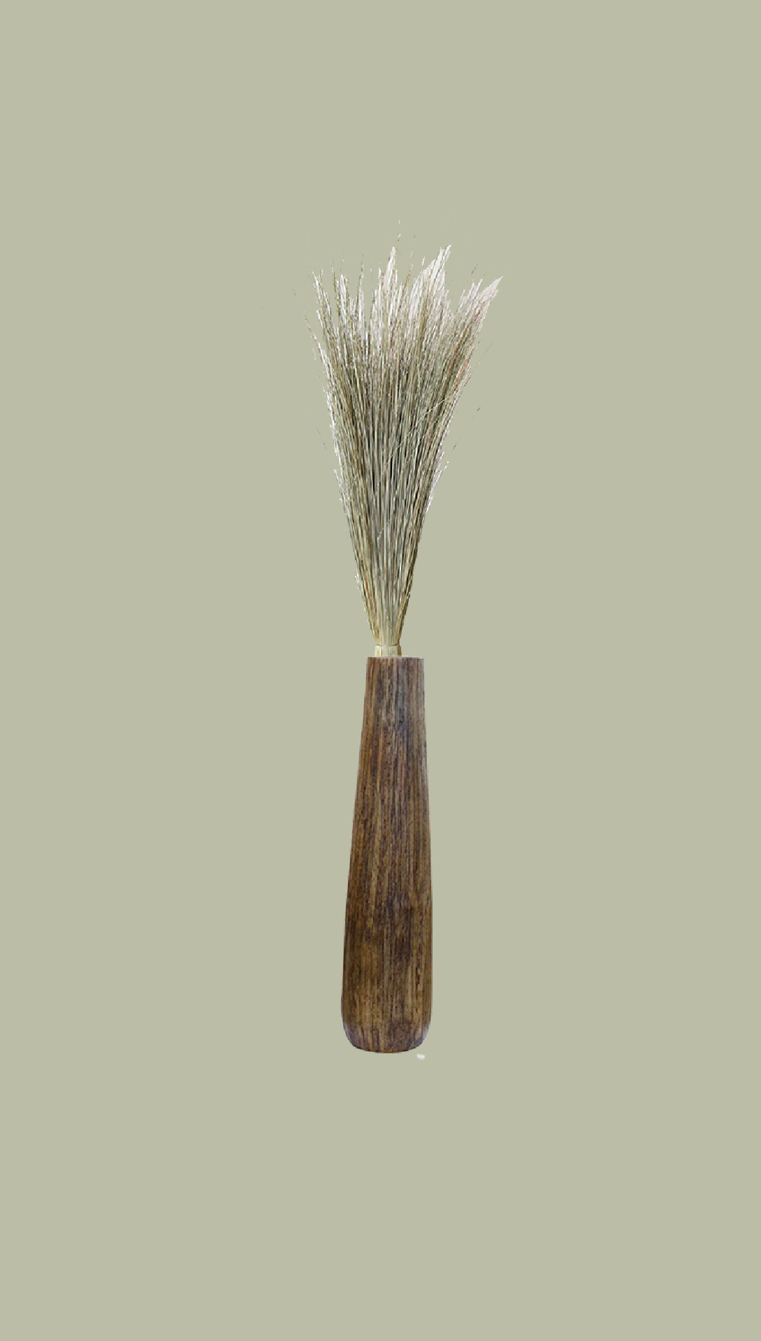 IMAGE PICS- COLOR BACKGROUND-22.png