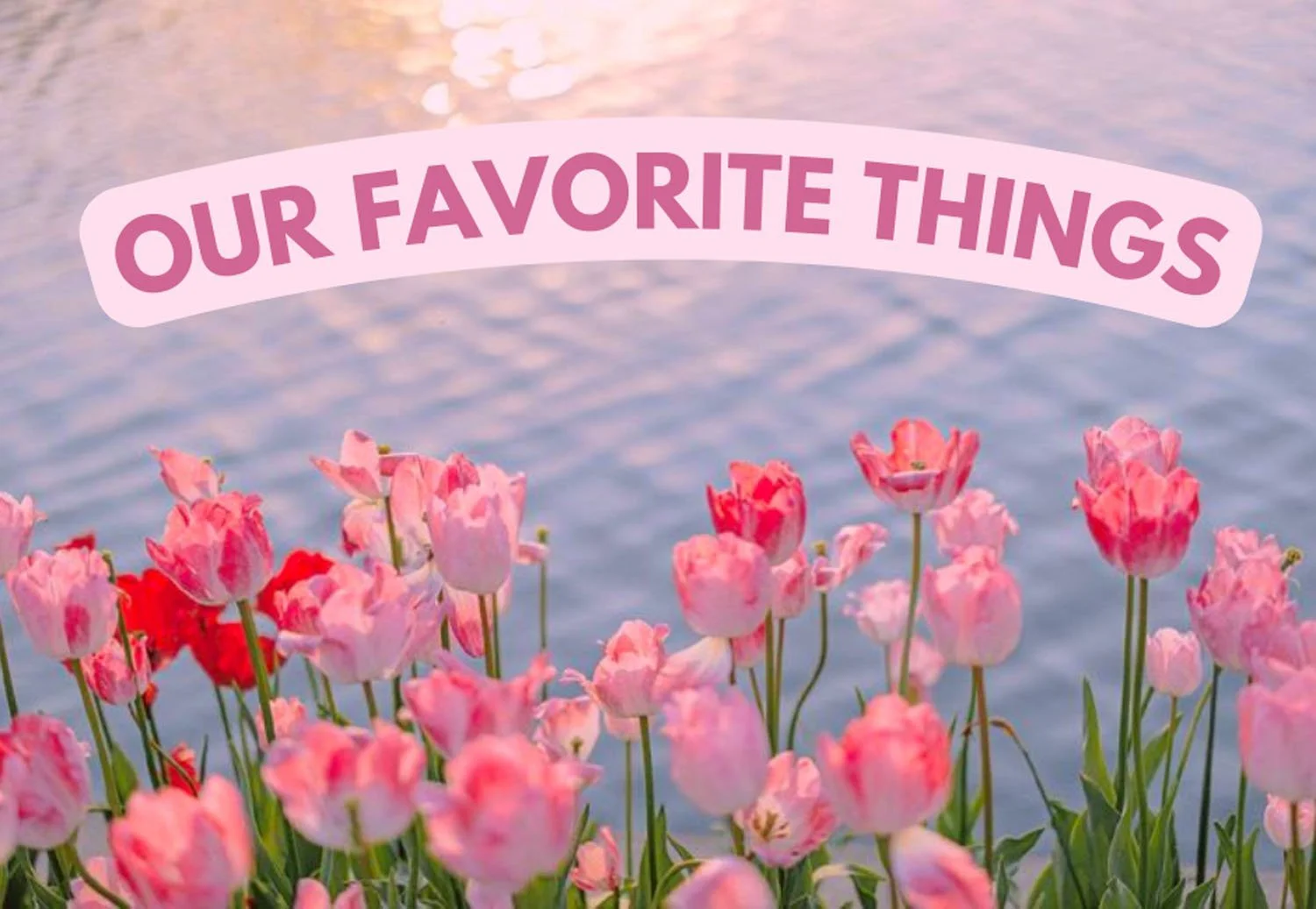 Our Favorite Things