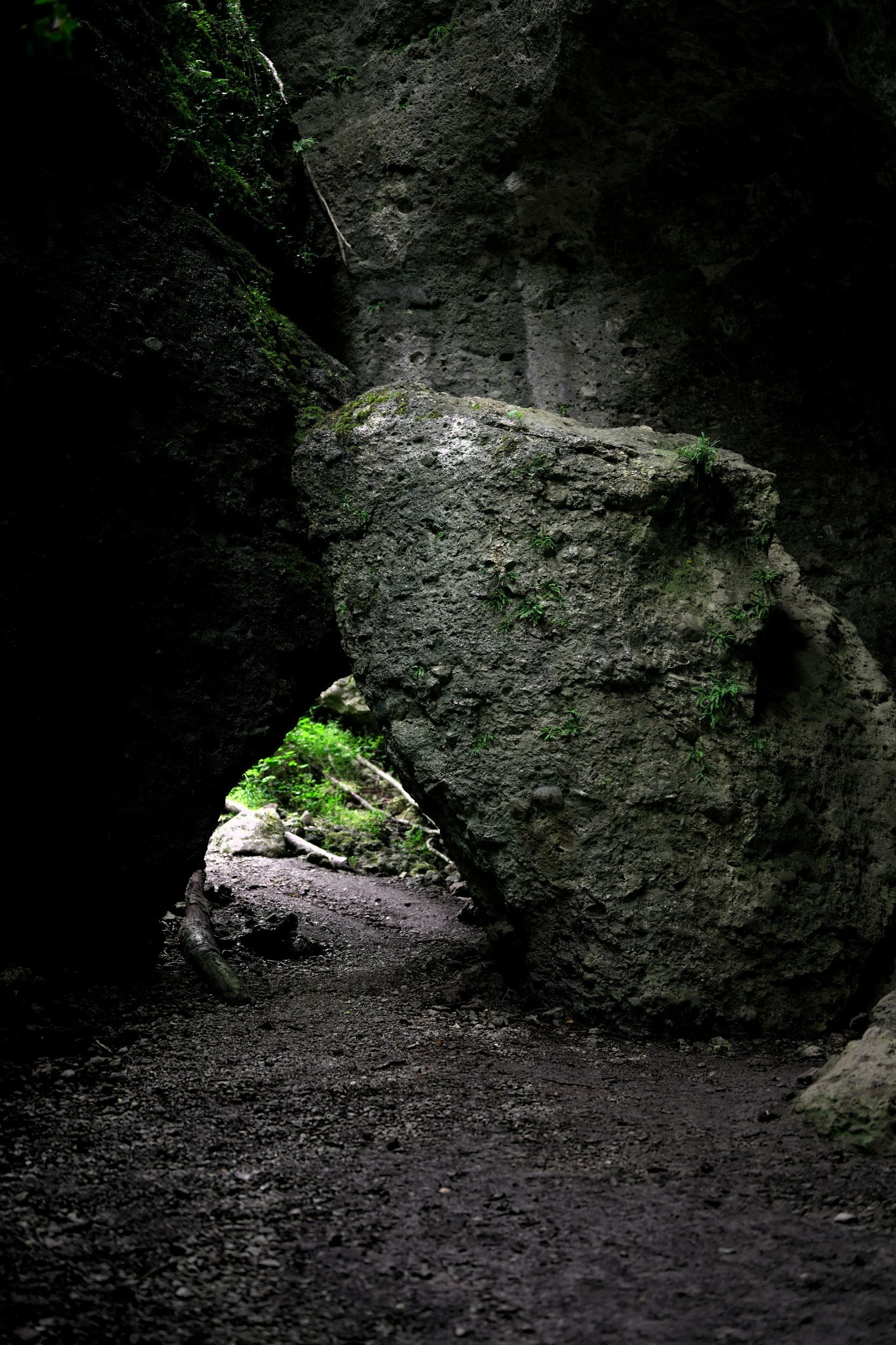 The Cave Within 