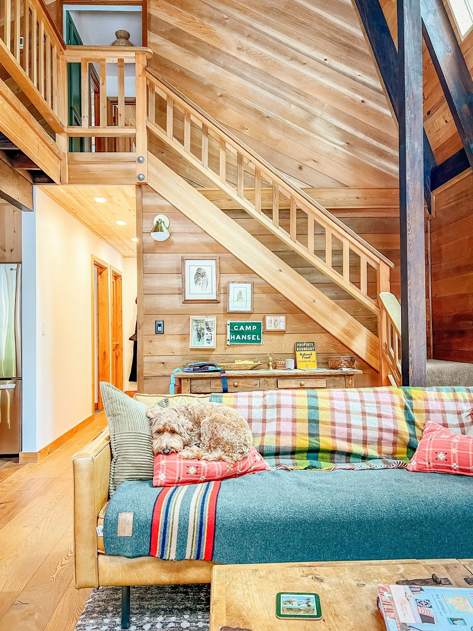 Cabin Living Room, with a labradoodle