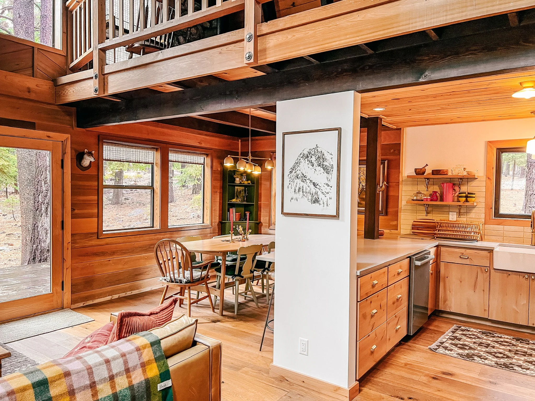 Cabin views amidst the pines