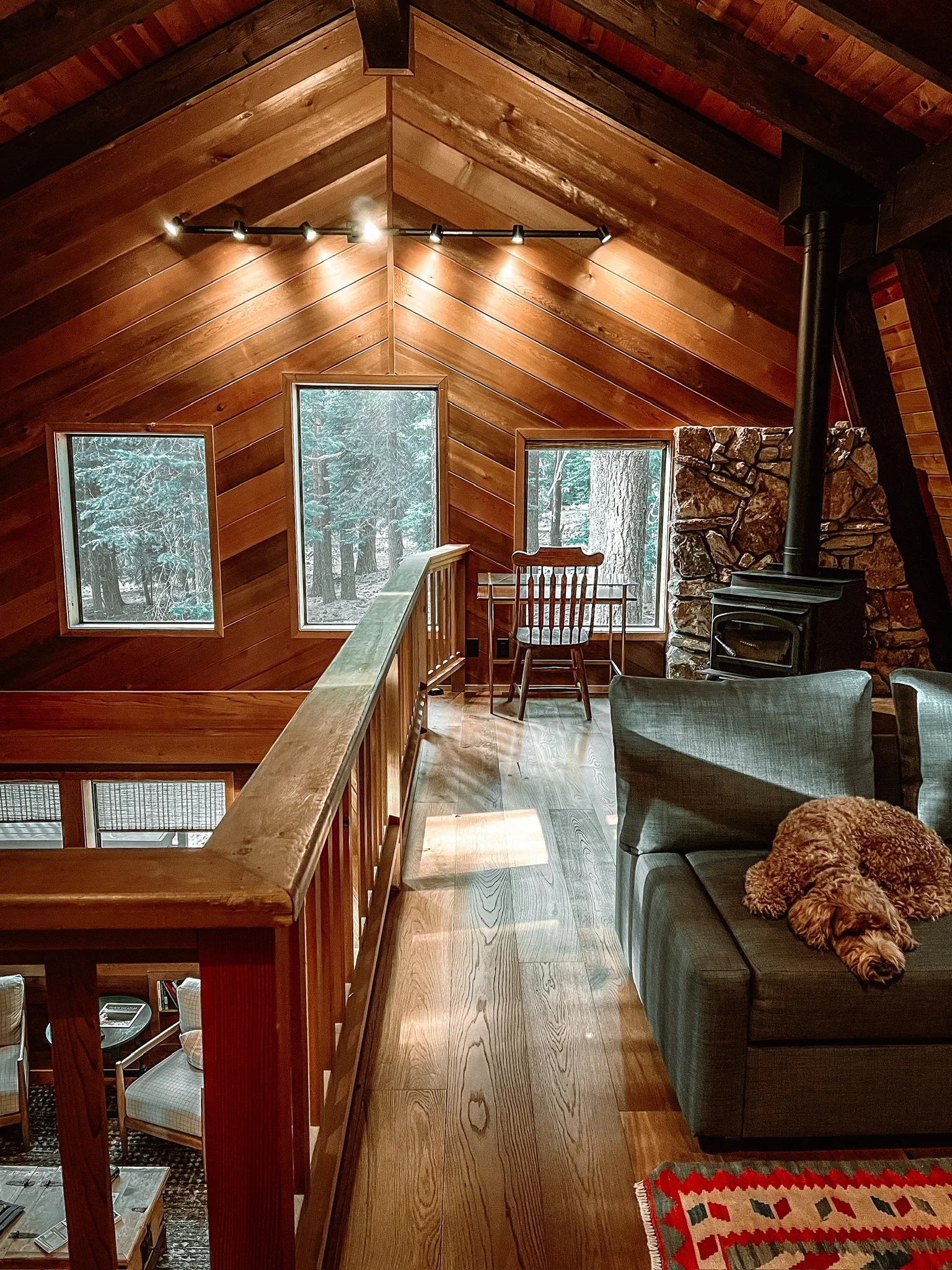 Cabin loft. Work from home while looking for coyotes in the forest.
