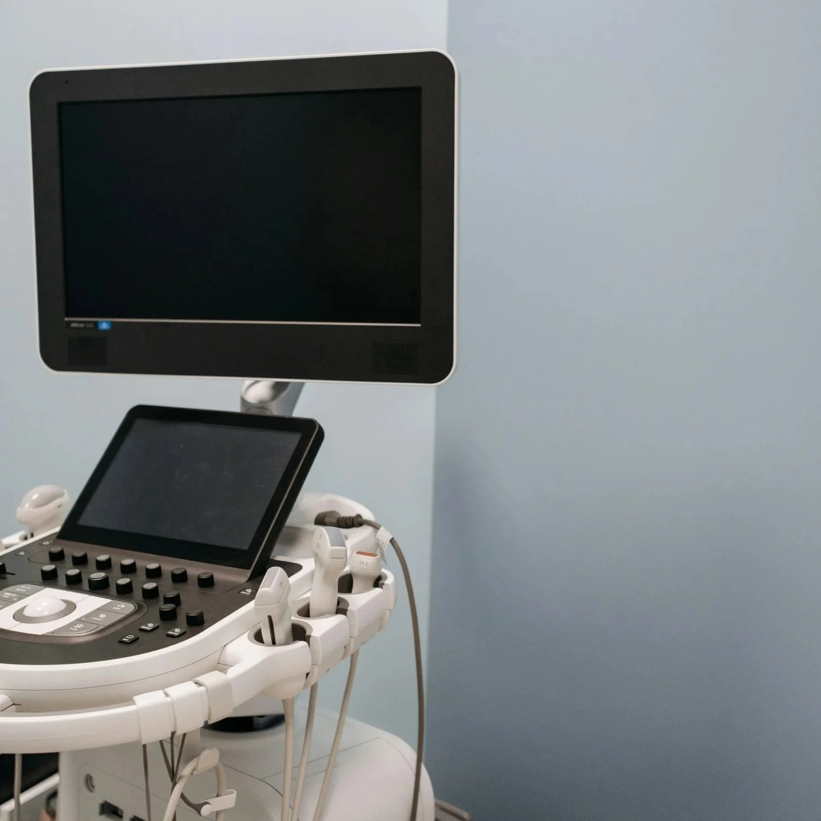 Pulse Portraits: Echocardiograms That Reveal the Real Story
