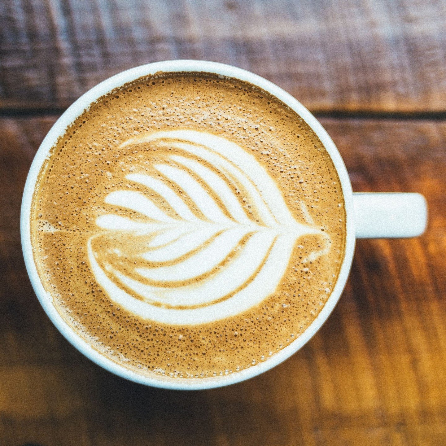 My Cafe Mocha combines top-notch cocoa powder, a hit of coffee or espresso, a half-cup of steamed hazelnut milk, and a pinch of cinnamon or a cinnamon stick. I swear this is like drinking a candy bar minus the sugar. Trust me. Try it. ⁠
⁠
Recipe is l
