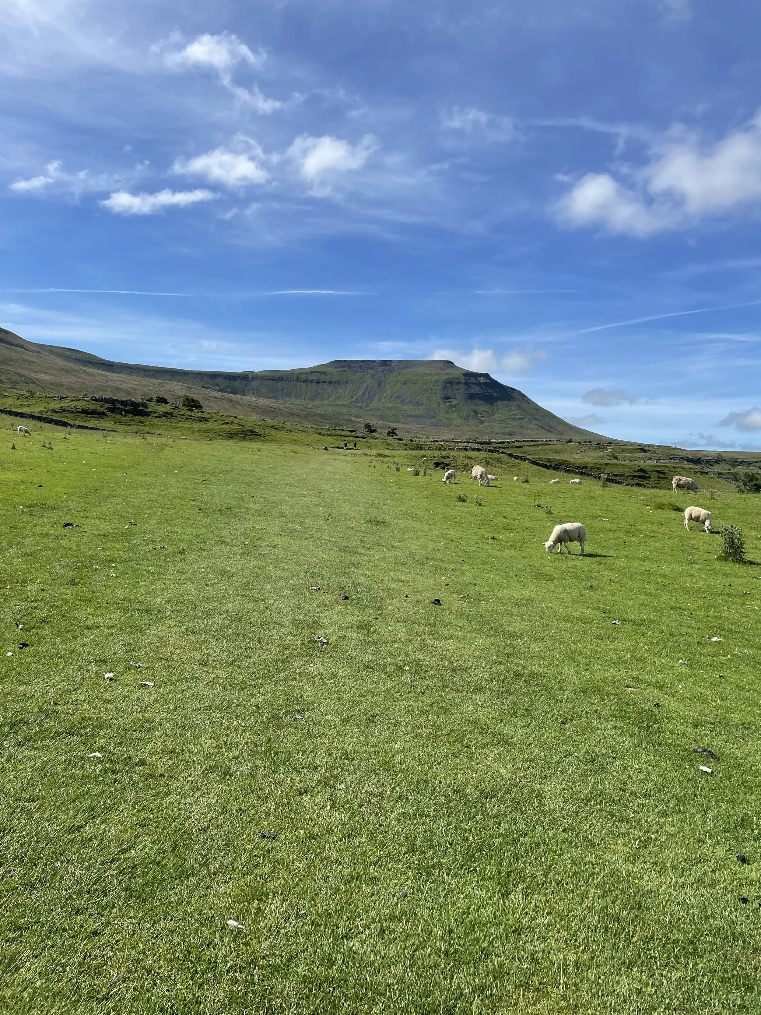 Ingleborough-YorkshireThreePeaks-01.jpeg