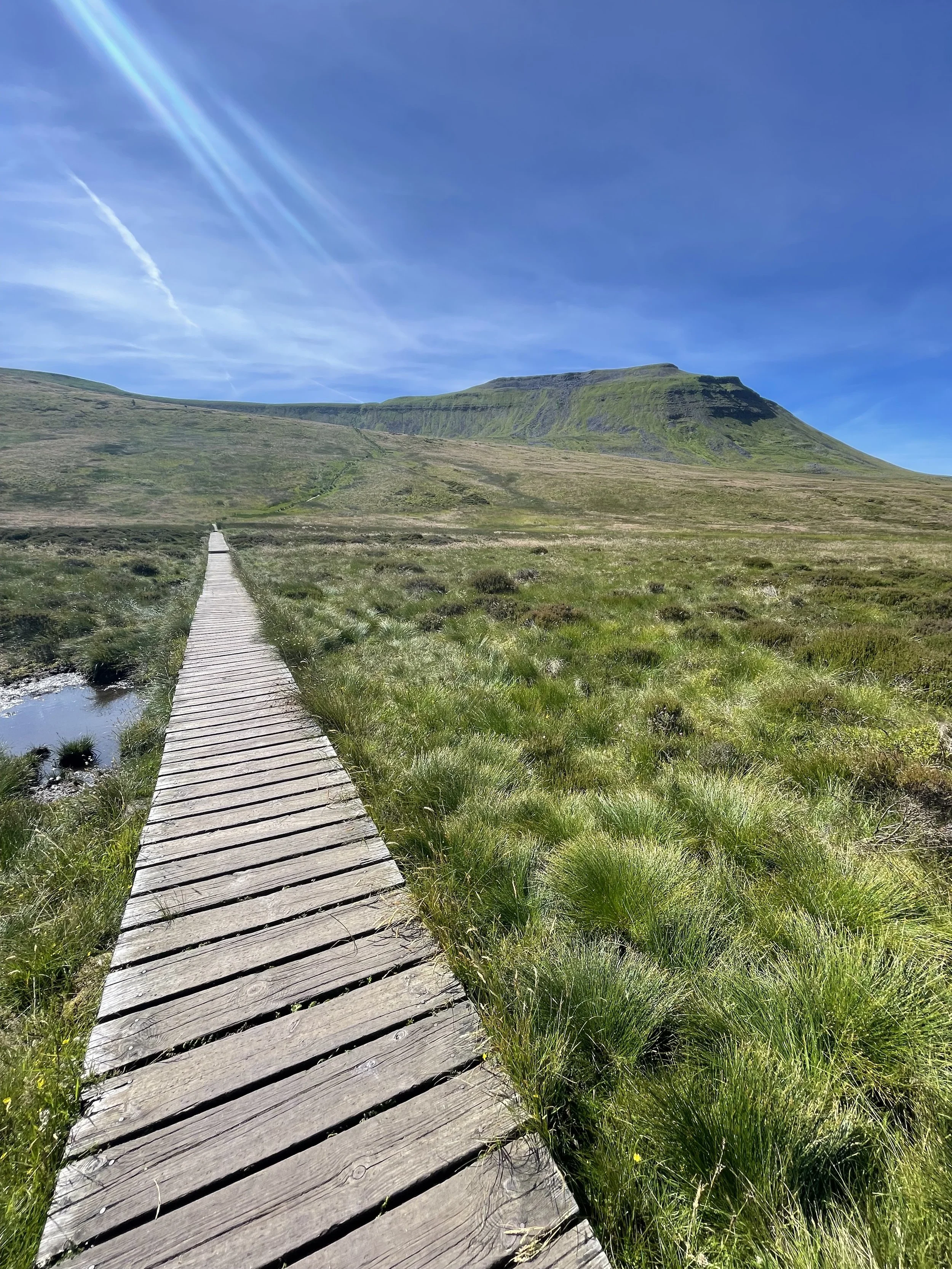 Ingleborough-YorkshireThreePeaks-02.jpeg