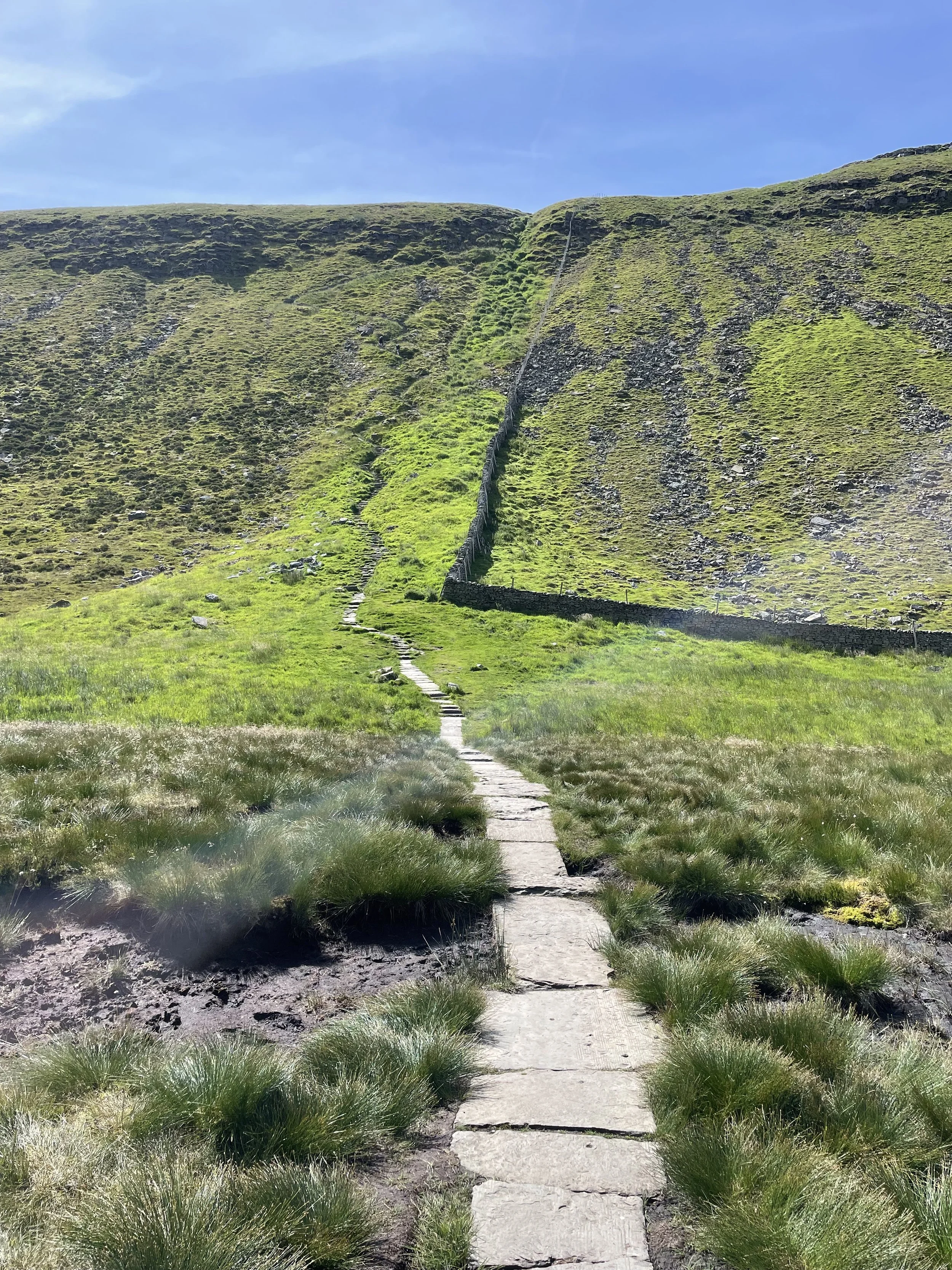 Ingleborough-YorkshireThreePeaks-03.jpeg