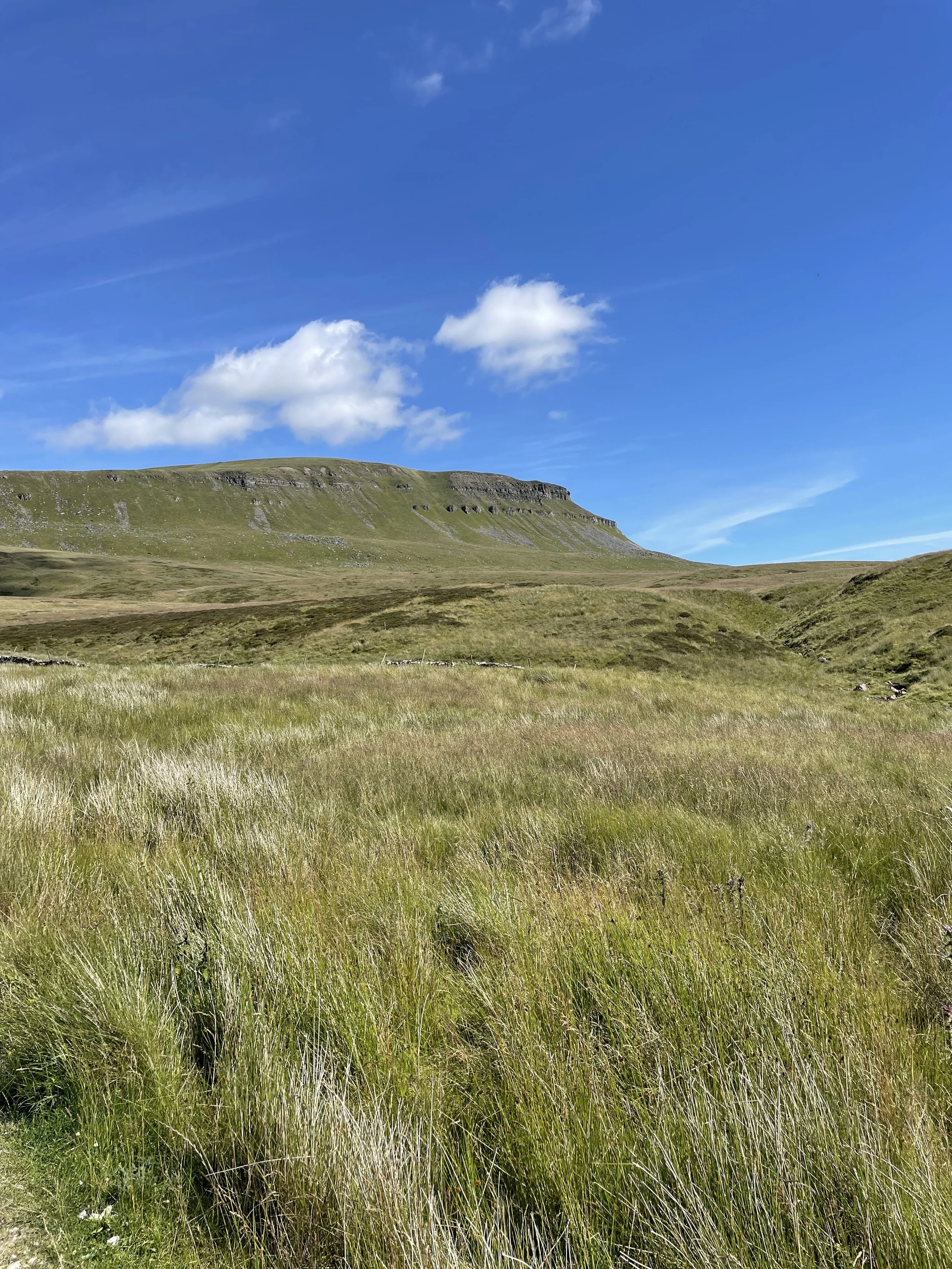 Pen y Ghent-YorkshireThreePeaks-02.jpeg