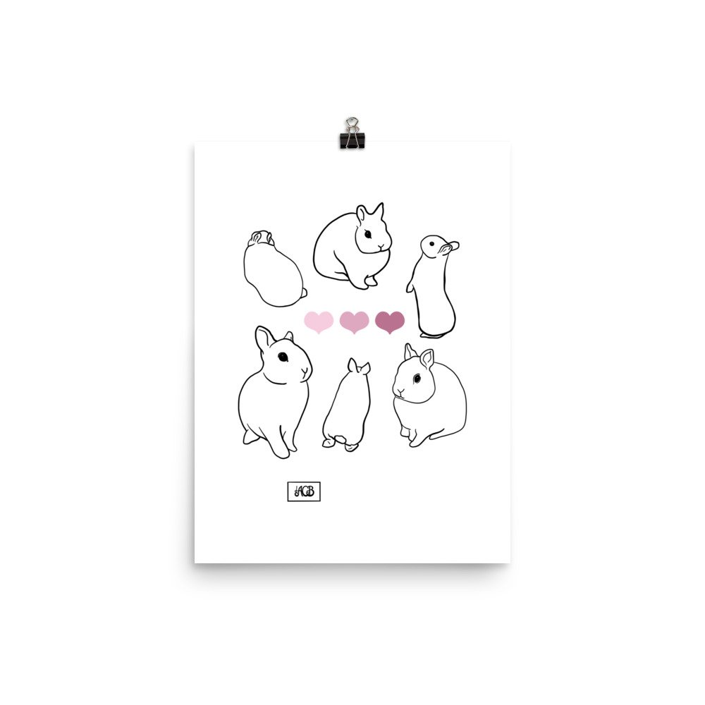 enhanced-matte-paper-poster-(in)-12x16-transparent-661b21fcab5f6.jpg