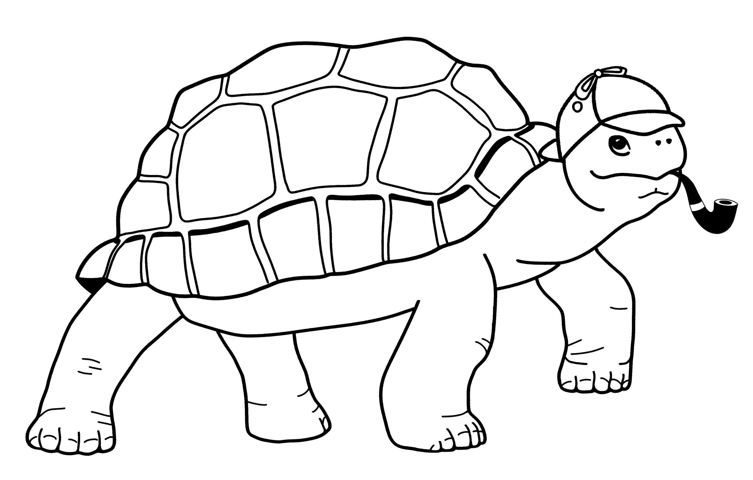 Untitled_Artwork (8).png