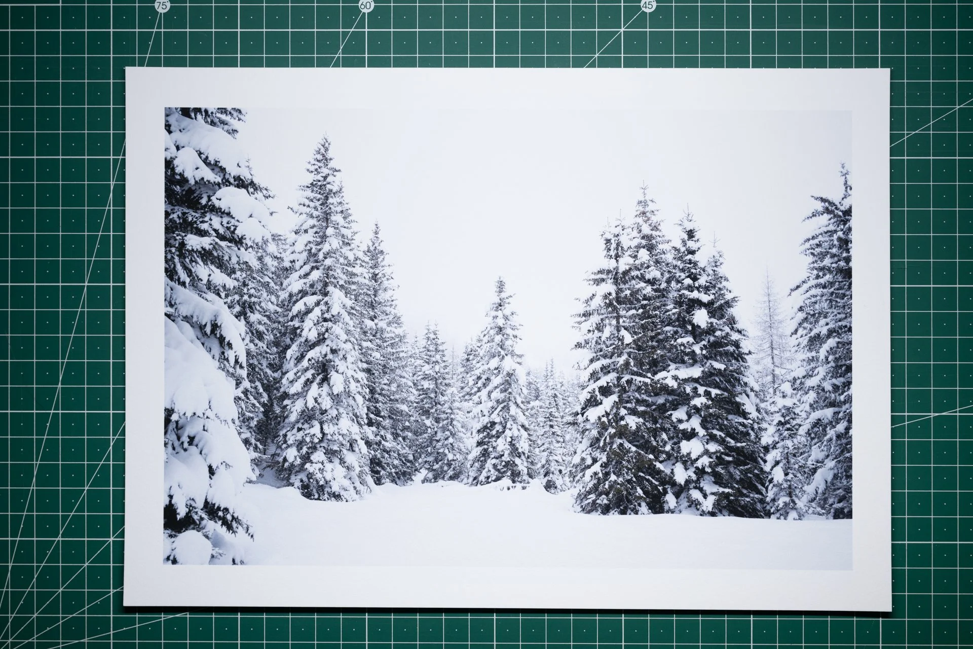 Winterzauber im Jänner