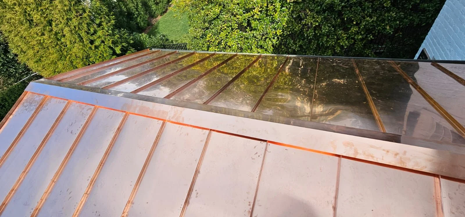 WhatsApp Image 2025-12-16 at 9.56.08 AM (2).jpeg