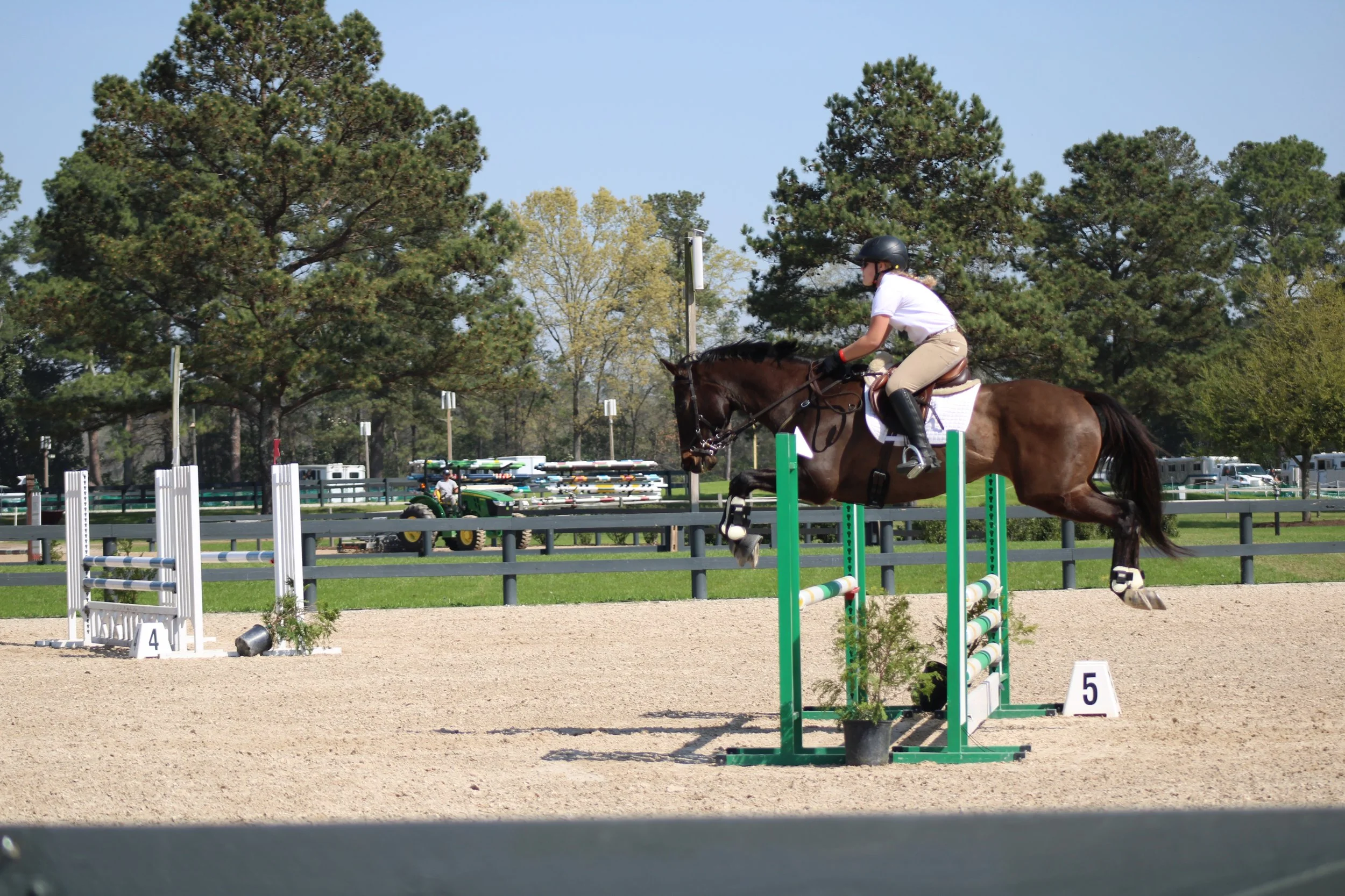 2026 Renewal -Junior Pony Club (7 years and under)