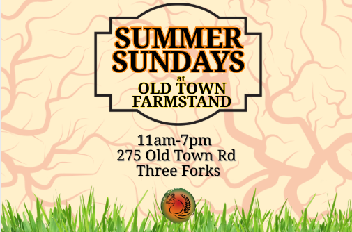 Summer Sunday @ Old Town Farmstand