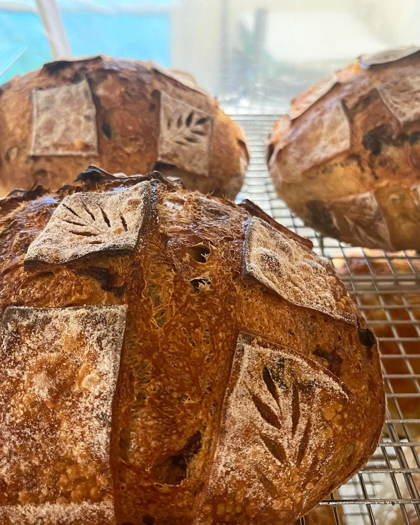 Cherry Vanilla Bean Sourdough Bread