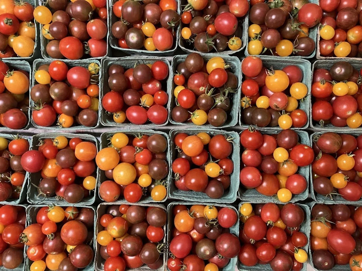 June 30 - July 2  Nature Week