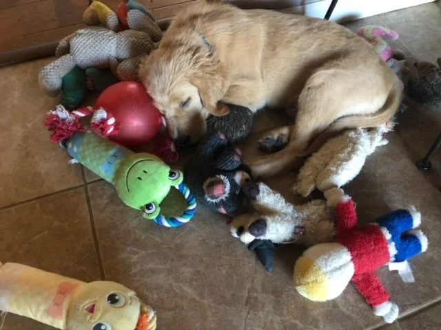 Nap Time!
