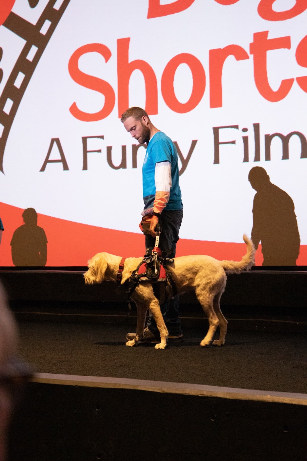 doggieshorts-178.jpg