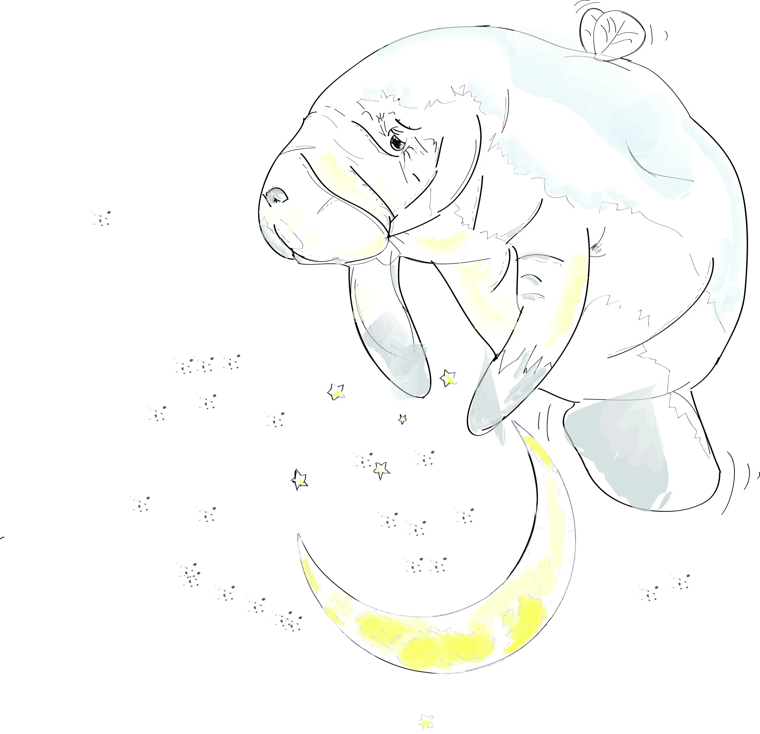 the sea cow that jumped over the moon.jpg