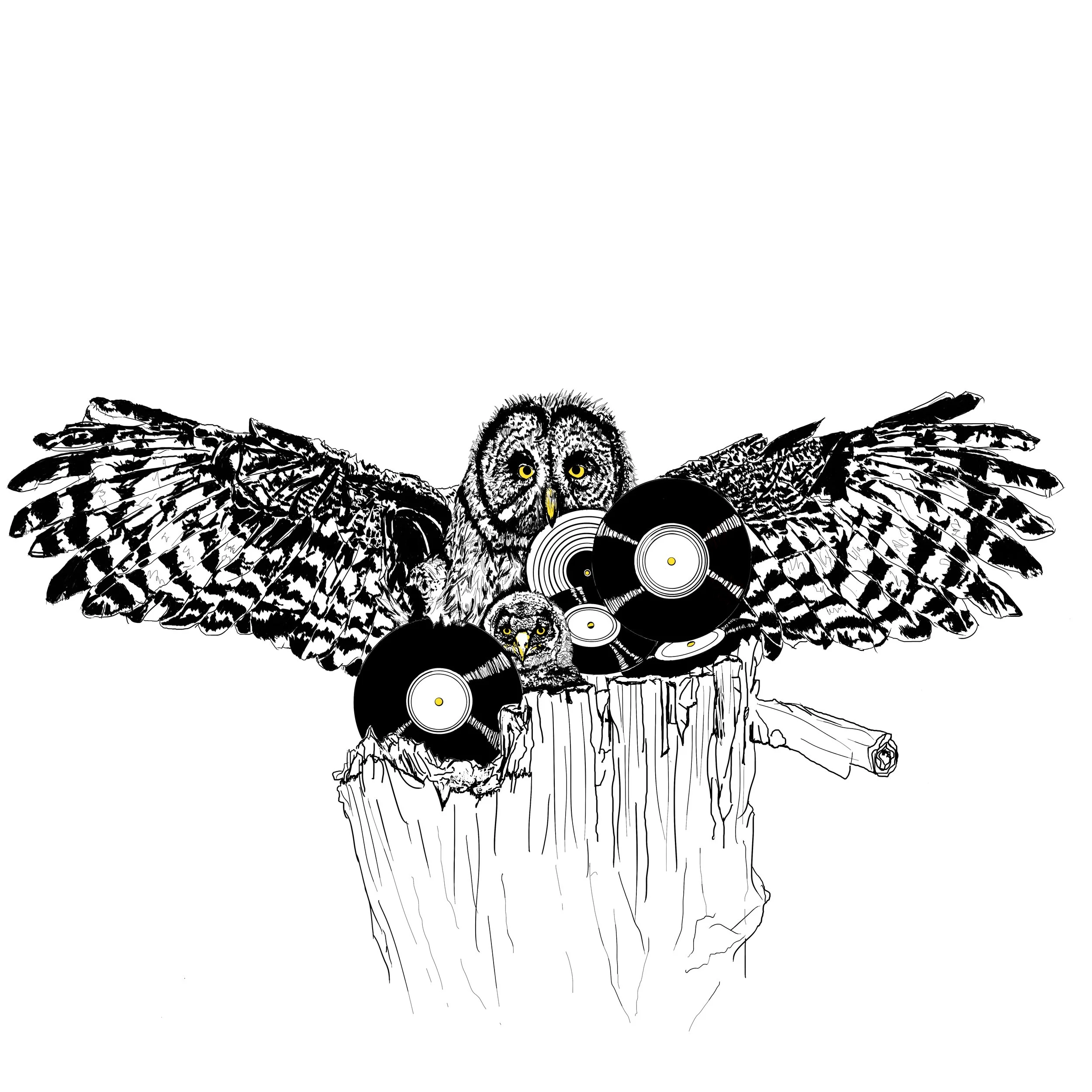 Without Eachother (Owl).jpg