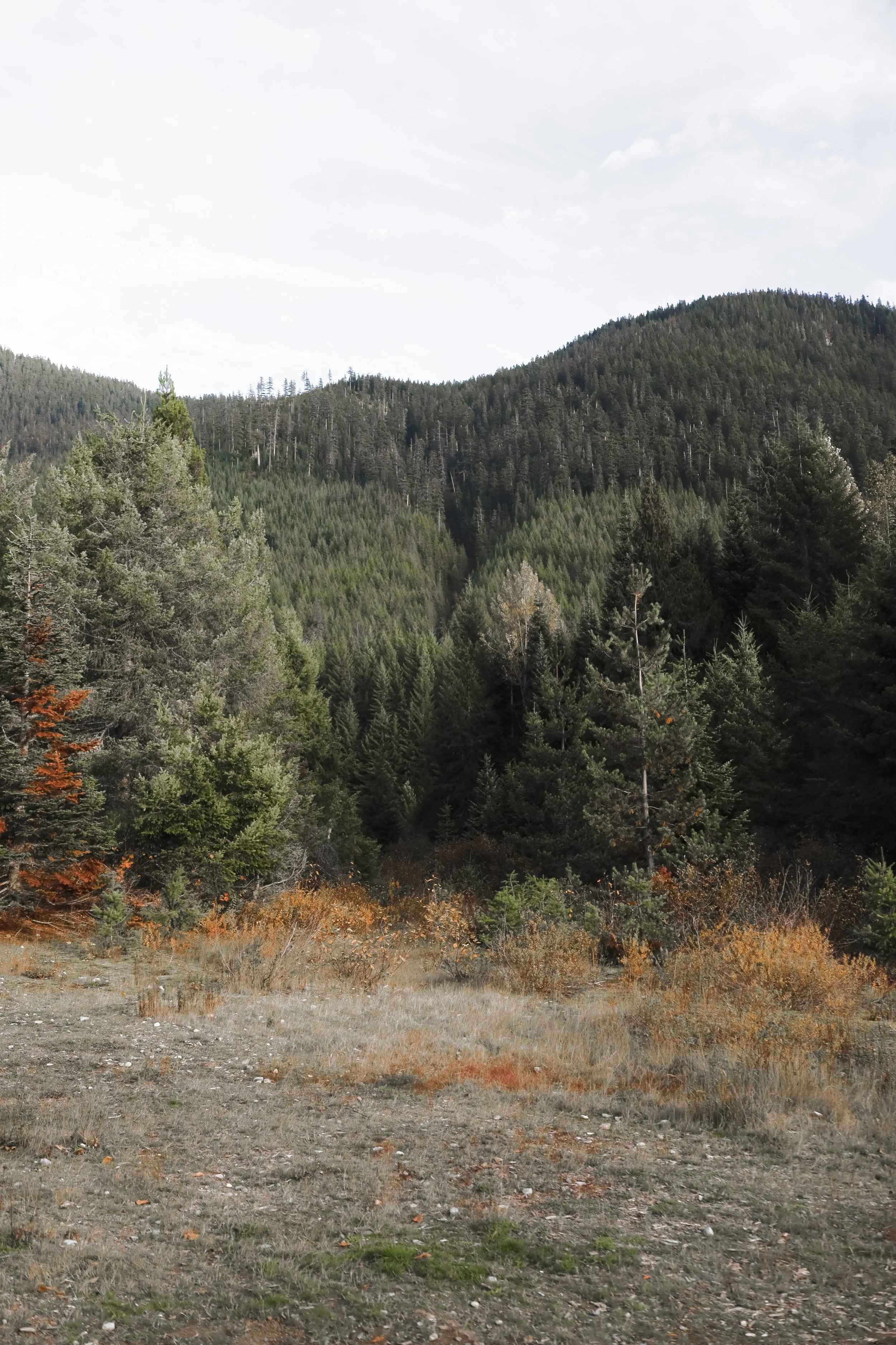 Gold Creek Pond - Fall