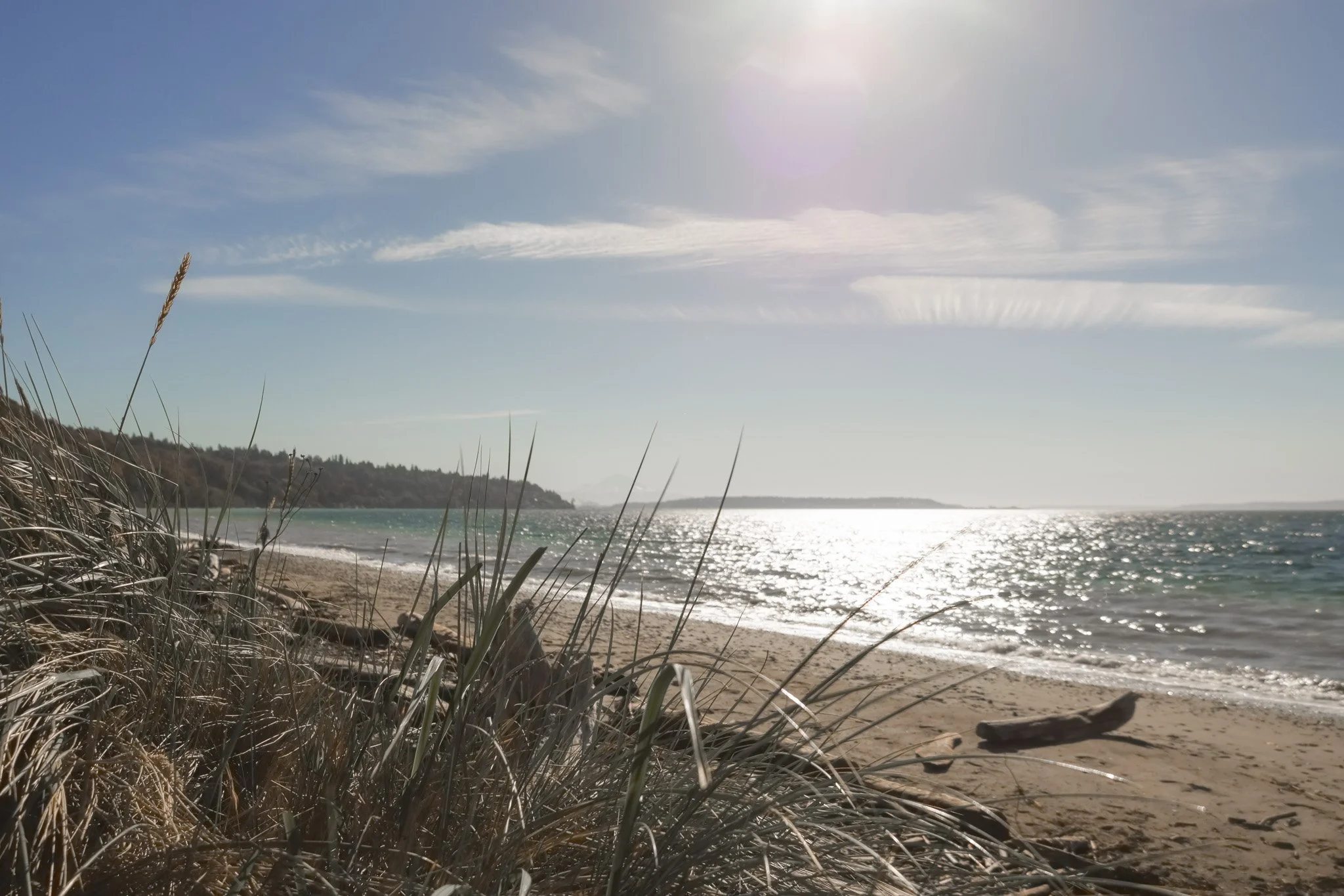 Discovery Park - Fall