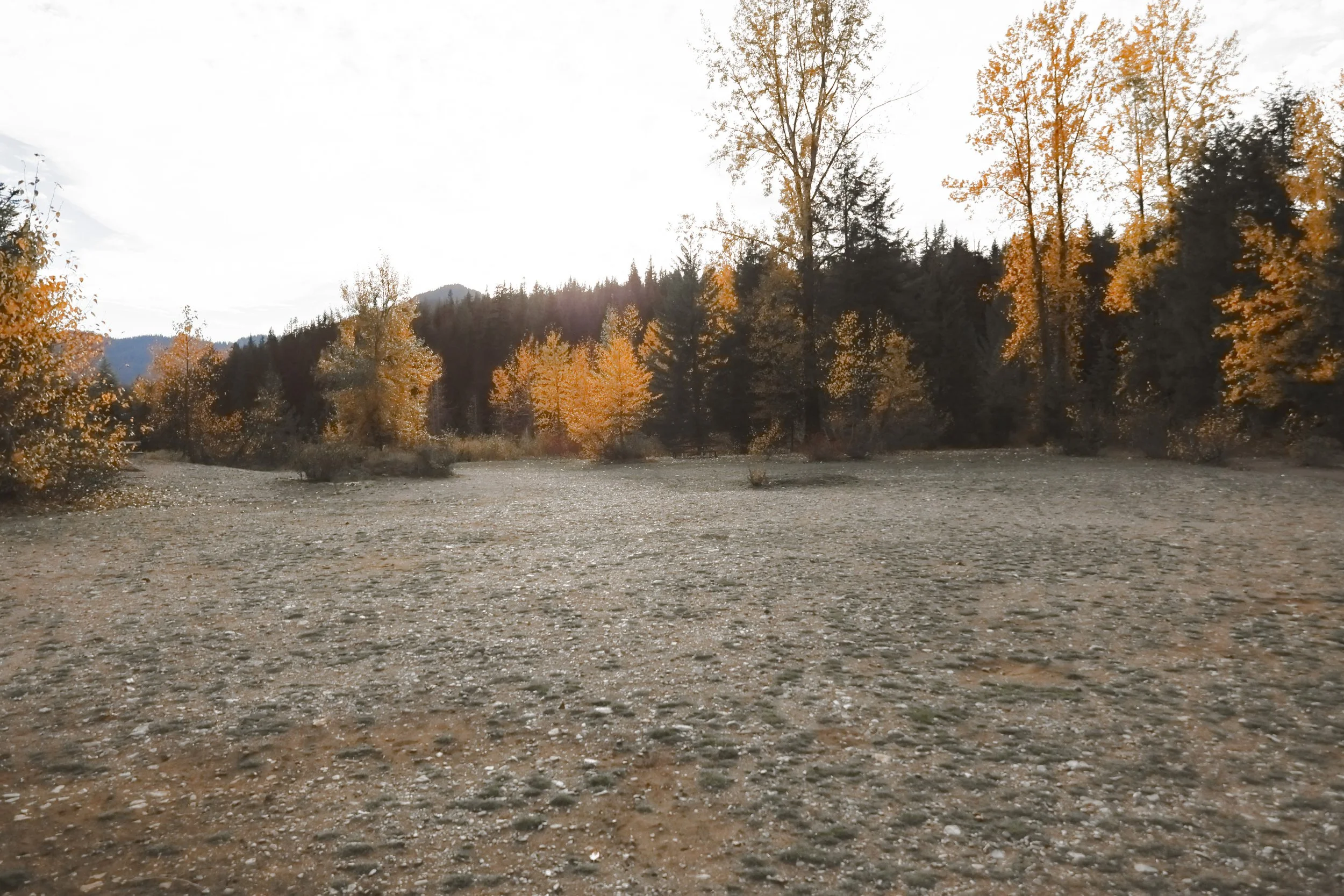 Gold Creek Pond - Fall