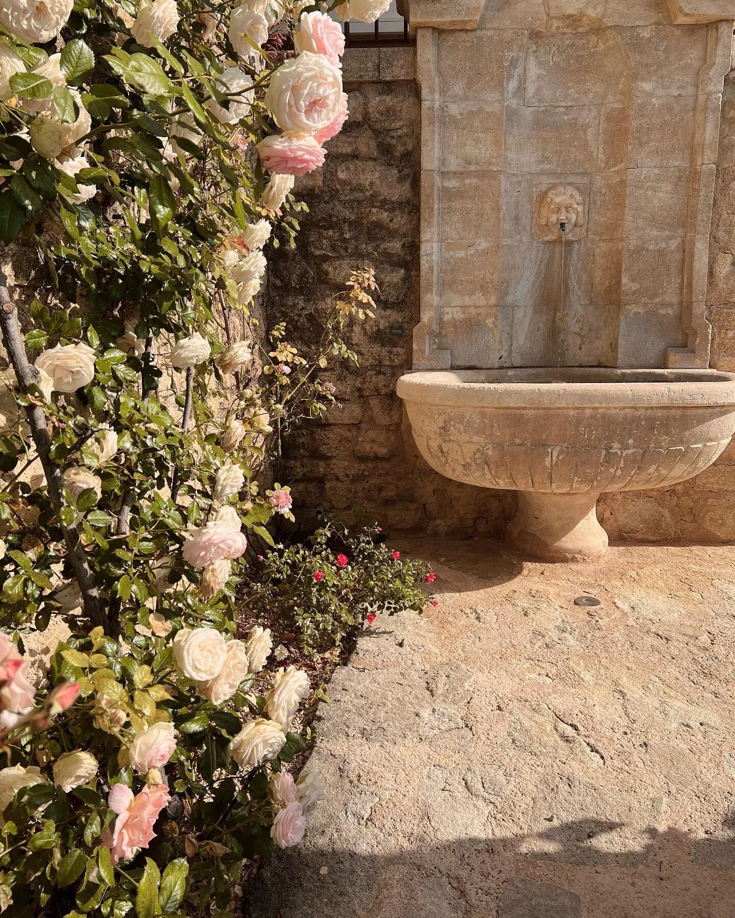 Photo carousel straight from a Provencal fairytale.
.
.
.
.
#provence #southoffrance #luxurytravel #lifewelltravelled #travelinspiration #travelguide #crillonlebrave #travelguide #france