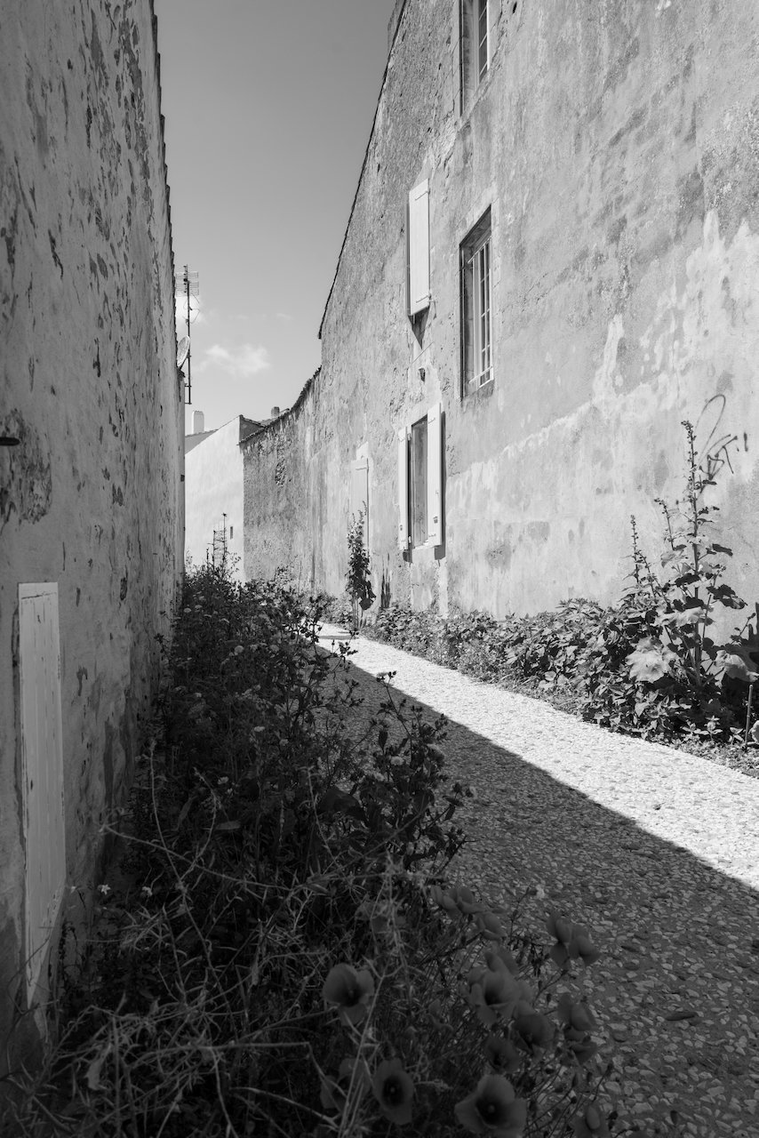 DSC01102.jpeg