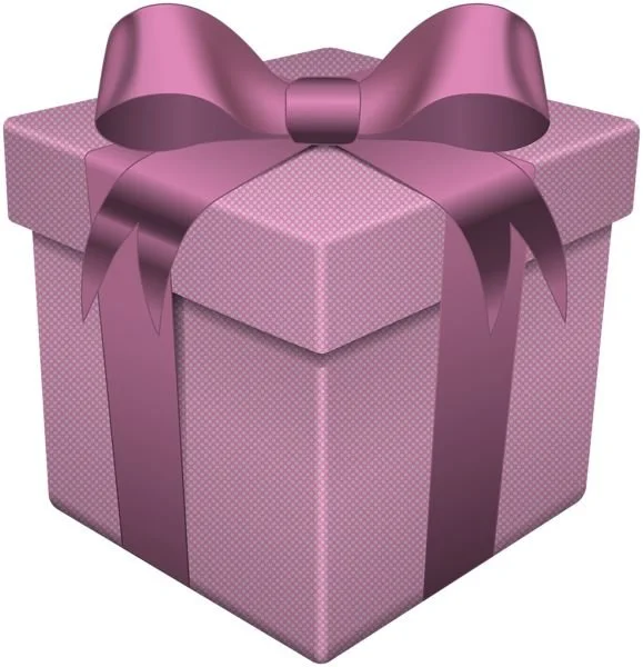 2025 Christmas Subscription Box