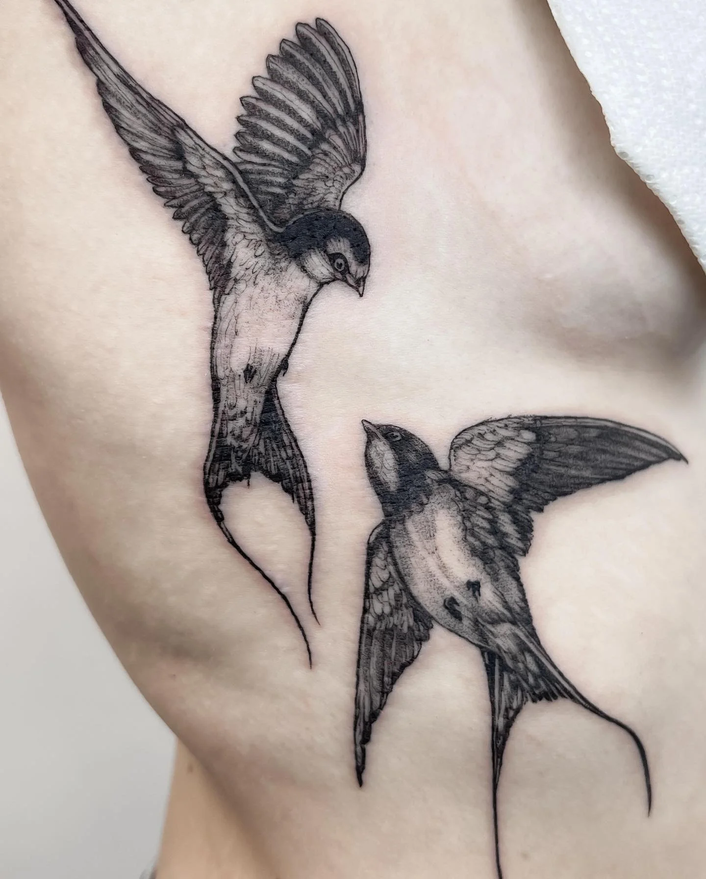 Look how delicate these pretty black and grey swallows on the ribs, tattooed by @fernandonunestattooist 

#medussatattoostudiolondon
#fernandonunestattooist #blackworktattoo #lineworktattoo #linework #girlswithtattoos #tattoo #insta_blackwork #inkedg